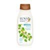 Shampoo per capelli grassi Betulla LUNA Alpa (430 ml)