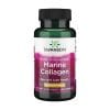 Peptidi di collagene marino idrolizzato Swanson, 400 mg (60 capsule)