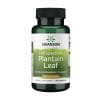 Foglie di piantaggine Swanson, 400 mg (60 capsule)