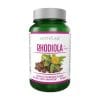 Rodiola – Rhodiola Activlab (60 capsule)